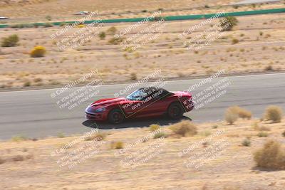 media/Oct-25-2025-West Coast Racing (Sat) [[9fdcbcd09c]]/Blue group/Turn 2/